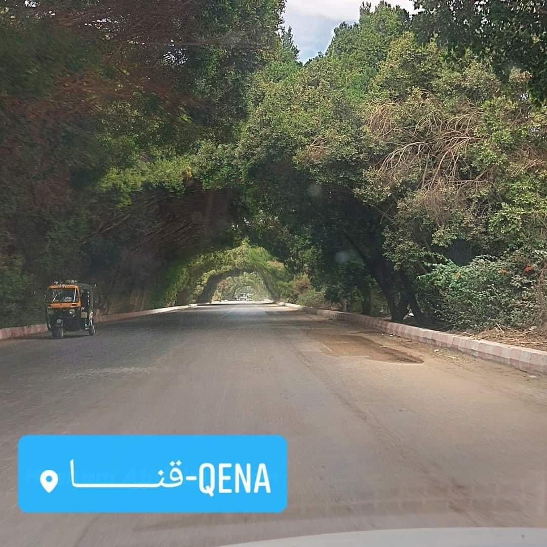 Manal_Abdelaal's tweet photo. من فضلكم ياللا ننزل هنا صور كل المساحات الخضراء اللي قضوا عليها، علشان الواد اللجنة اللي بيقول كام شارع بس.
 مدن برة اسكندرية الأول: https://t.co/AJ590dGemC