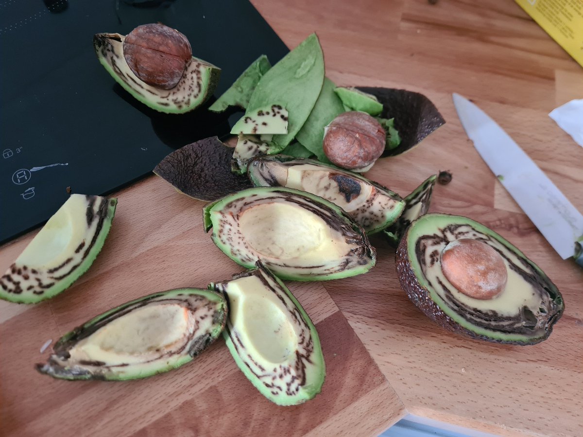 yank_fr's tweet photo. @lidlfrance 3 avocats pas un seul mangeable. 😔 https://t.co/DEWyKlaUY5