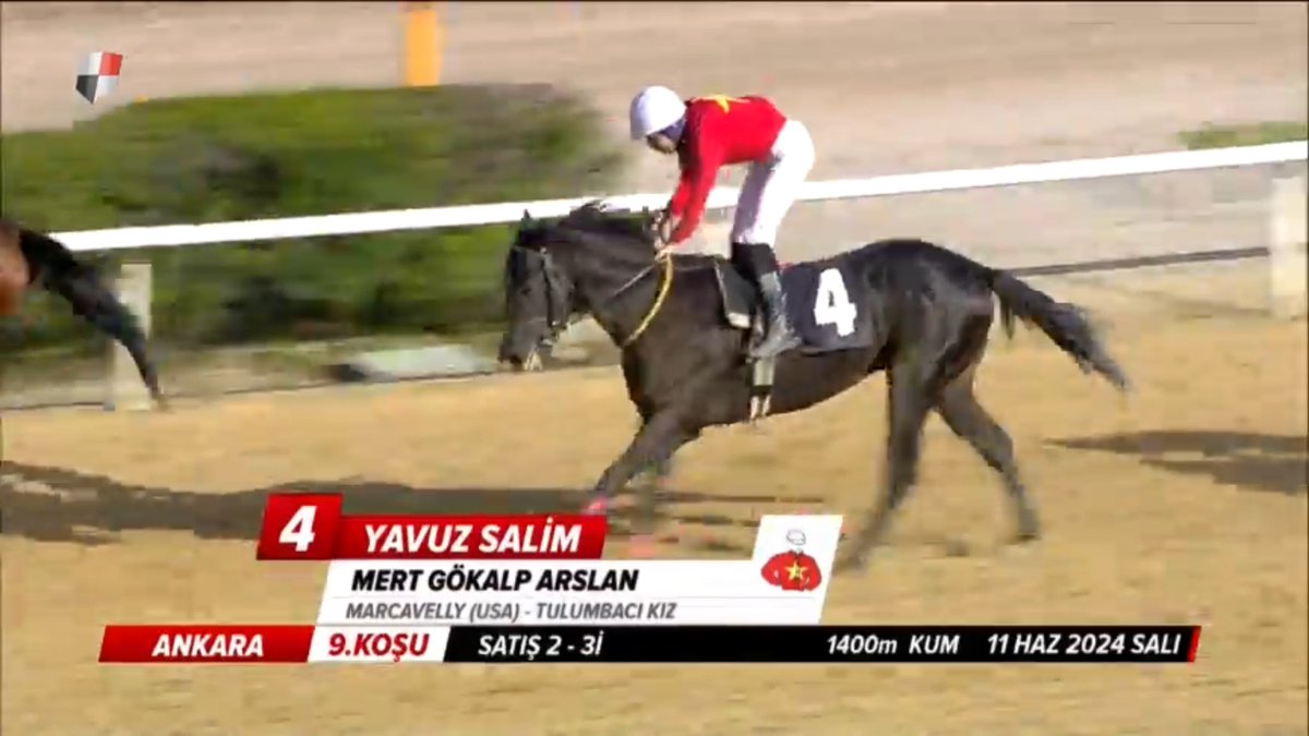 saittopcu1's tweet photo. Aslan oğluma veda vakti 😟
net g1 atıydın çözemedik sıkıntılarını
yeni sahibinde iyi yarışlar sergilemen dileğiyle yavuz salim’im👏 https://t.co/Os6Ug8qApi