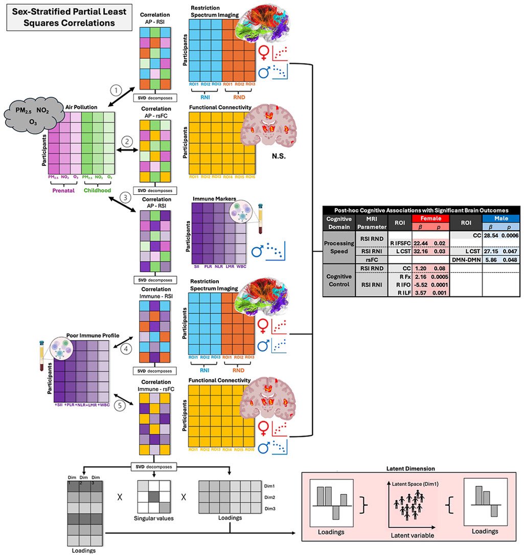 DevynCotter's tweet photo. New pub out! Using partial least squares correlations (multivariate method; identifies latent dimensions), we explored sex-stratified links between prenatal &amp; childhood air pollution, immune function, &amp; brain connectivity in adolescents from the ABCD Study https://t.co/4PX4fgkMKm https://t.co/5ZxkSMPgo4