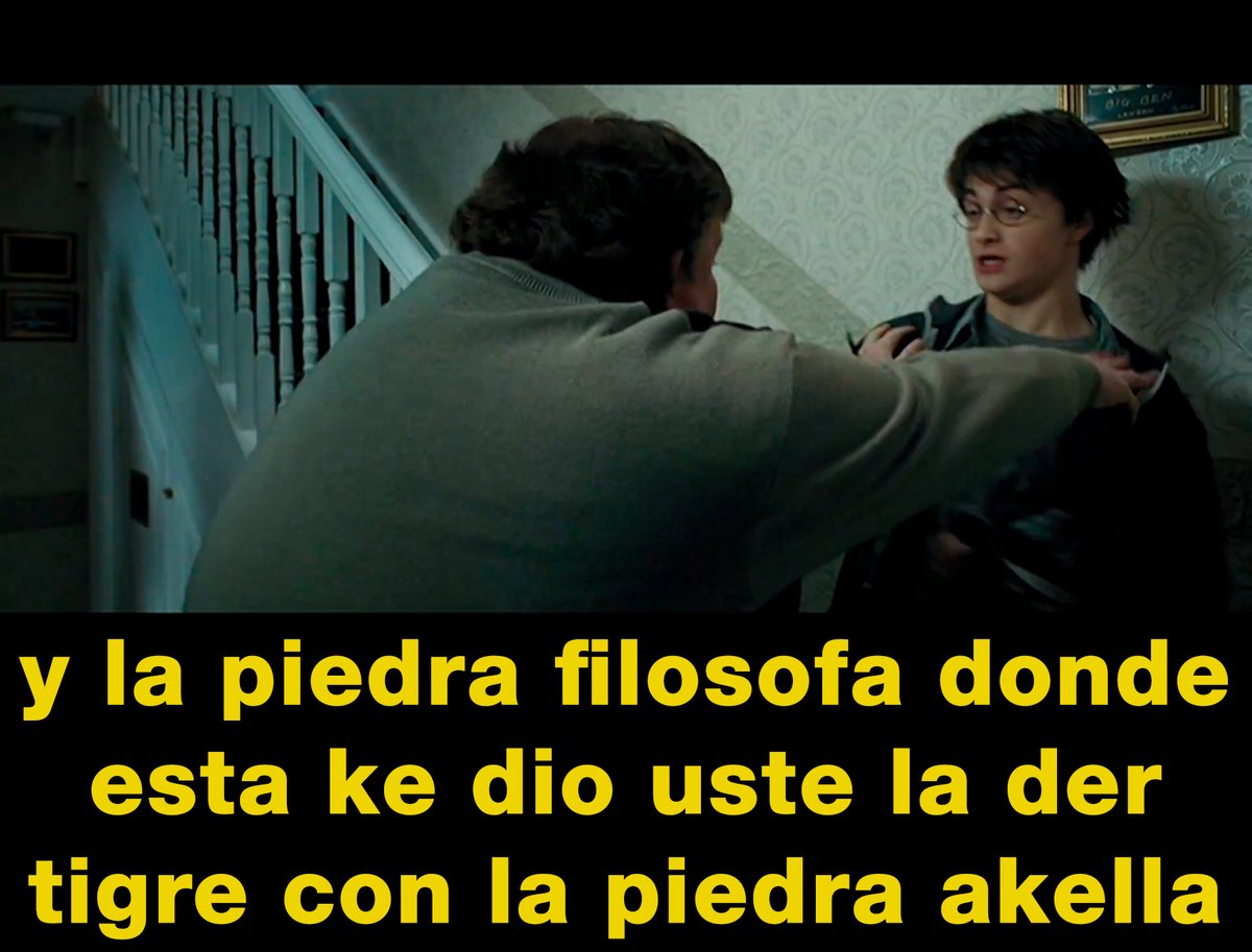 LOS KIVI AMARILLO (1/3)