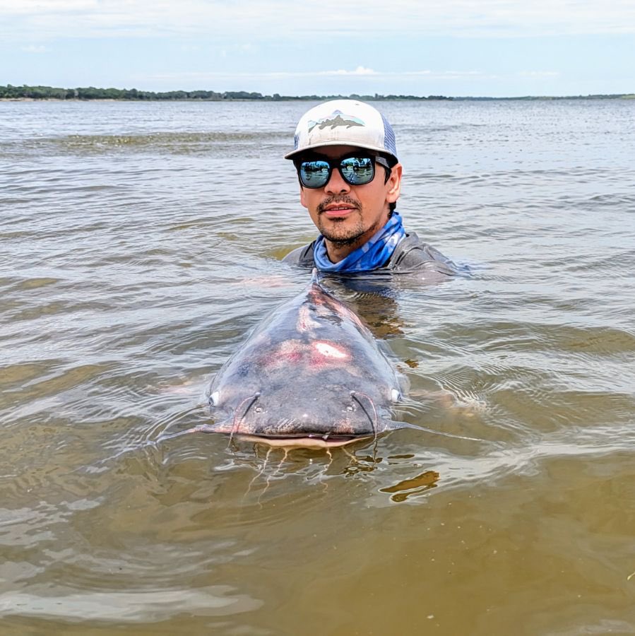 Ernesto Flores tweet media