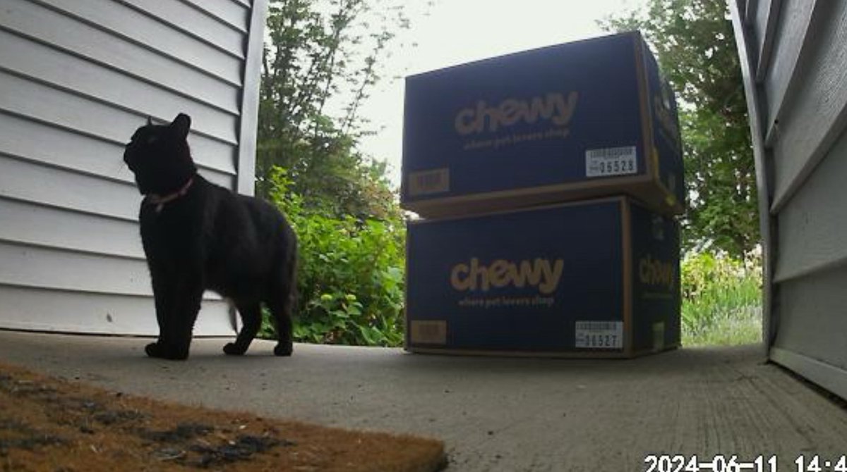 kodiakdawg's tweet photo. @Chewy Order received / Confirmed by our employee at the loading dock #Porchie https://t.co/HvnaqxUjD7