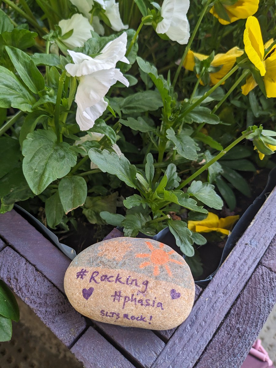 Sarah Lambert tweet media