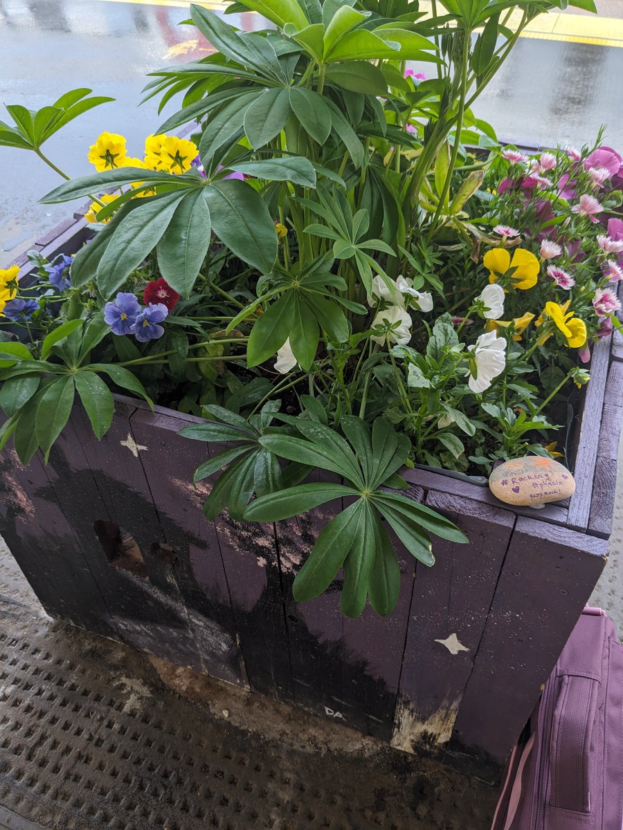 Sarah Lambert tweet media