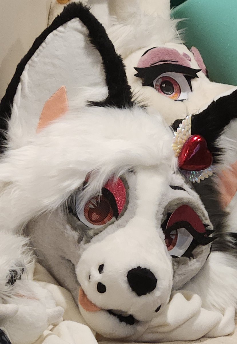 lunaalynx's tweet image. Mischievous fox still looking for their owner to cause chaos with!
2️⃣5️⃣0️⃣0️⃣ + Shipping or I can bring her to #Anthrocon for a free pickup!
#fursuit #fursuitforsale #premadefursuit
