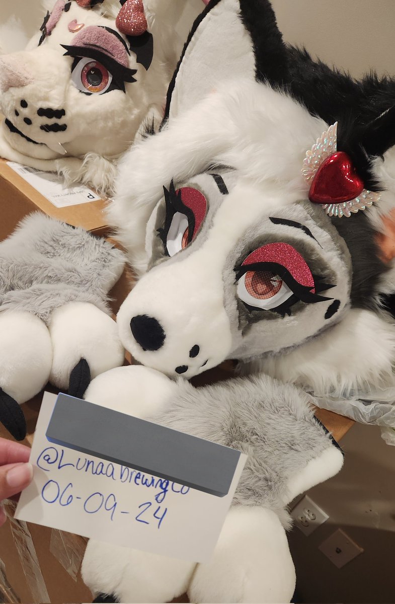 lunaalynx's tweet image. Mischievous fox still looking for their owner to cause chaos with!
2️⃣5️⃣0️⃣0️⃣ + Shipping or I can bring her to #Anthrocon for a free pickup!
#fursuit #fursuitforsale #premadefursuit