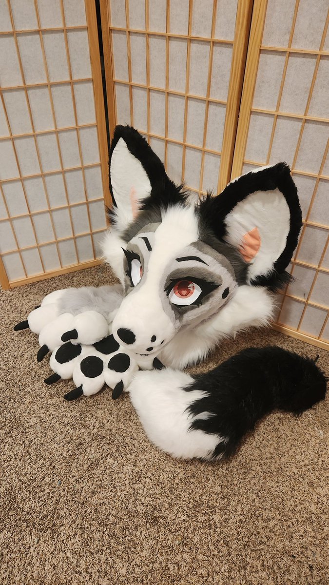 lunaalynx's tweet image. Mischievous fox still looking for their owner to cause chaos with!
2️⃣5️⃣0️⃣0️⃣ + Shipping or I can bring her to #Anthrocon for a free pickup!
#fursuit #fursuitforsale #premadefursuit