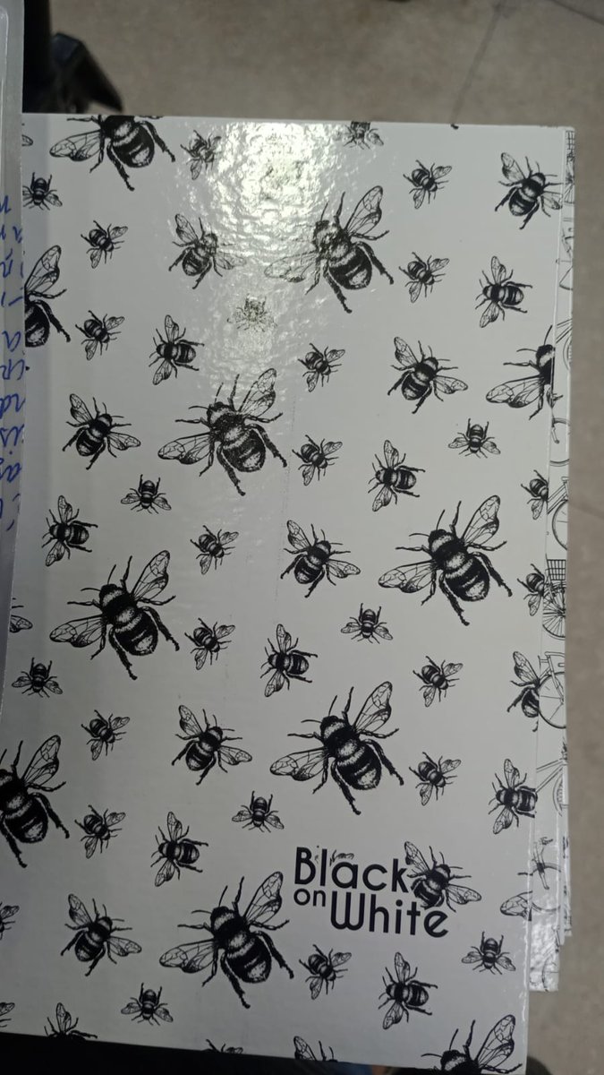 Achei em madureira e fiz minha mãe comprar pra mim kkkkj