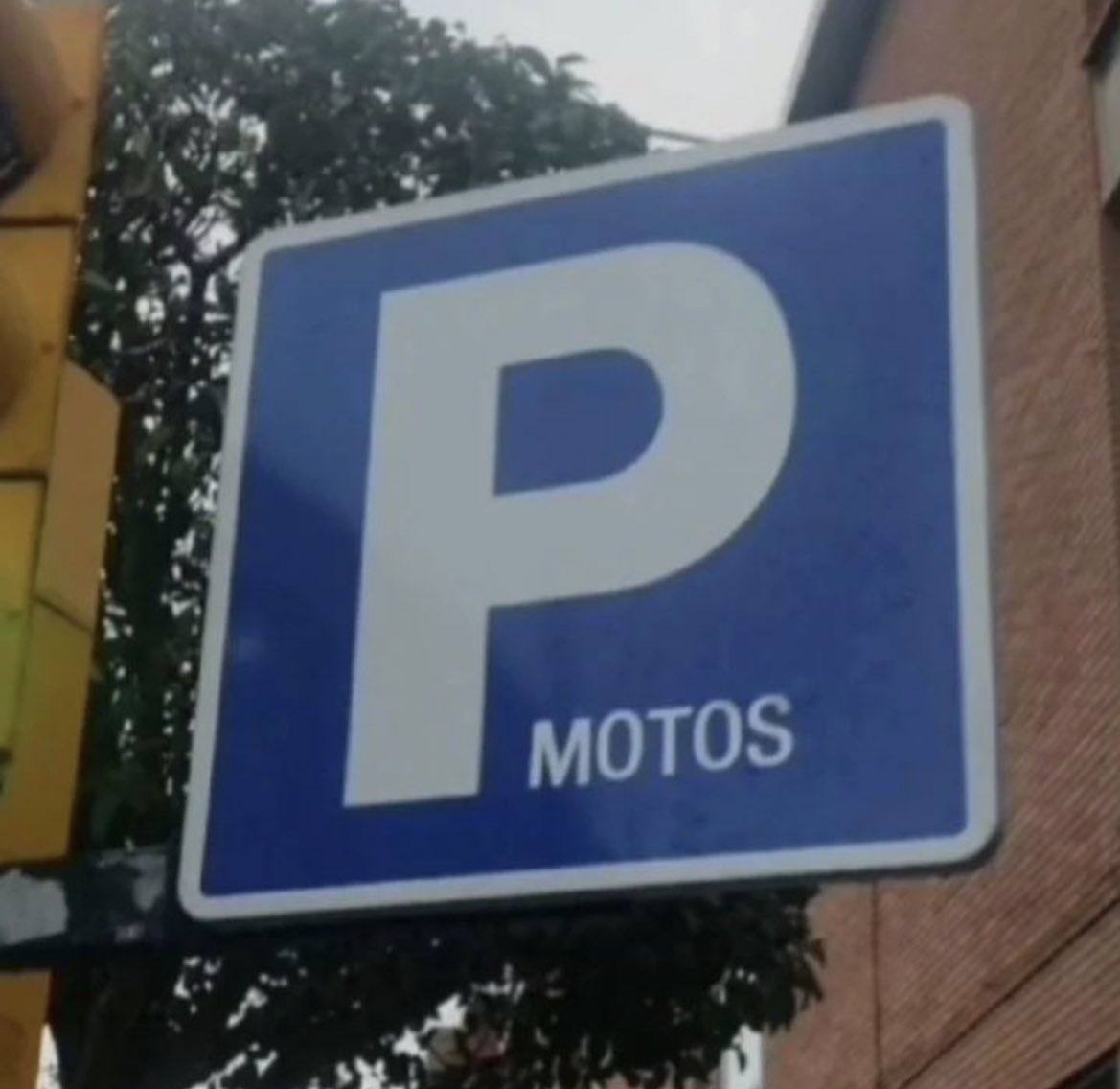 y le hacen una placa al golipoyas ese…