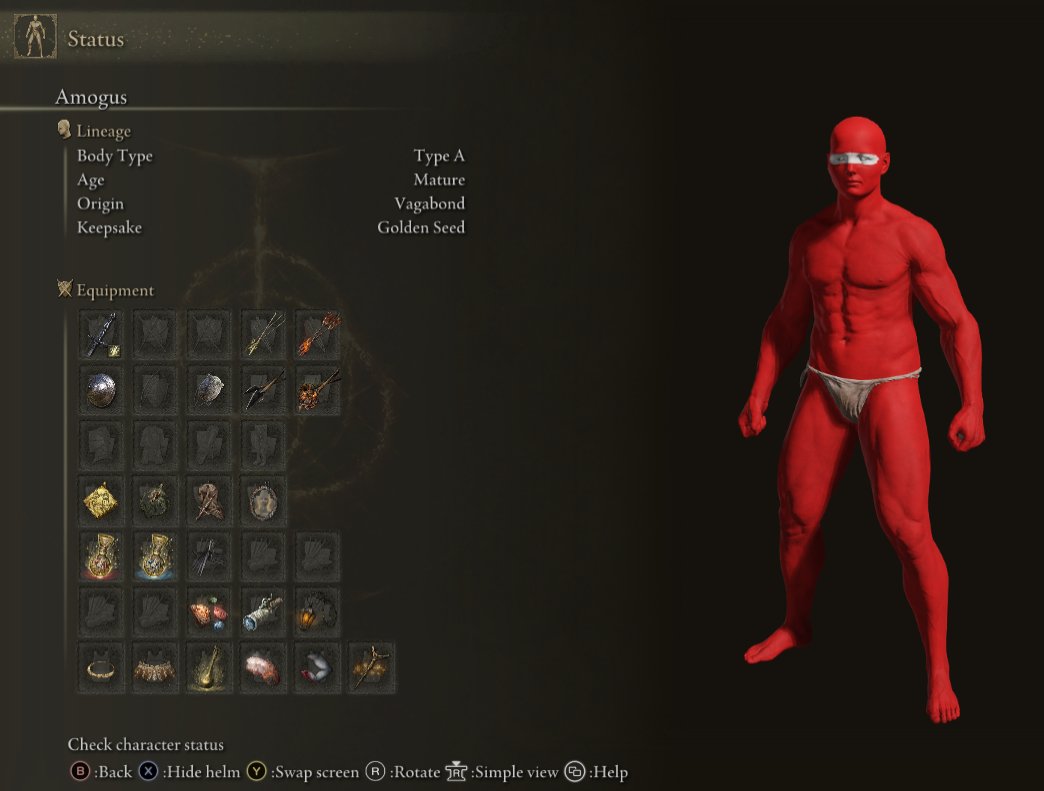 I launched Elden Ring for the first time in over a year to prepare a character for the DLC, accidentally hit Continue and am greeted by this character I can't remember creating. What the hell was I doing?