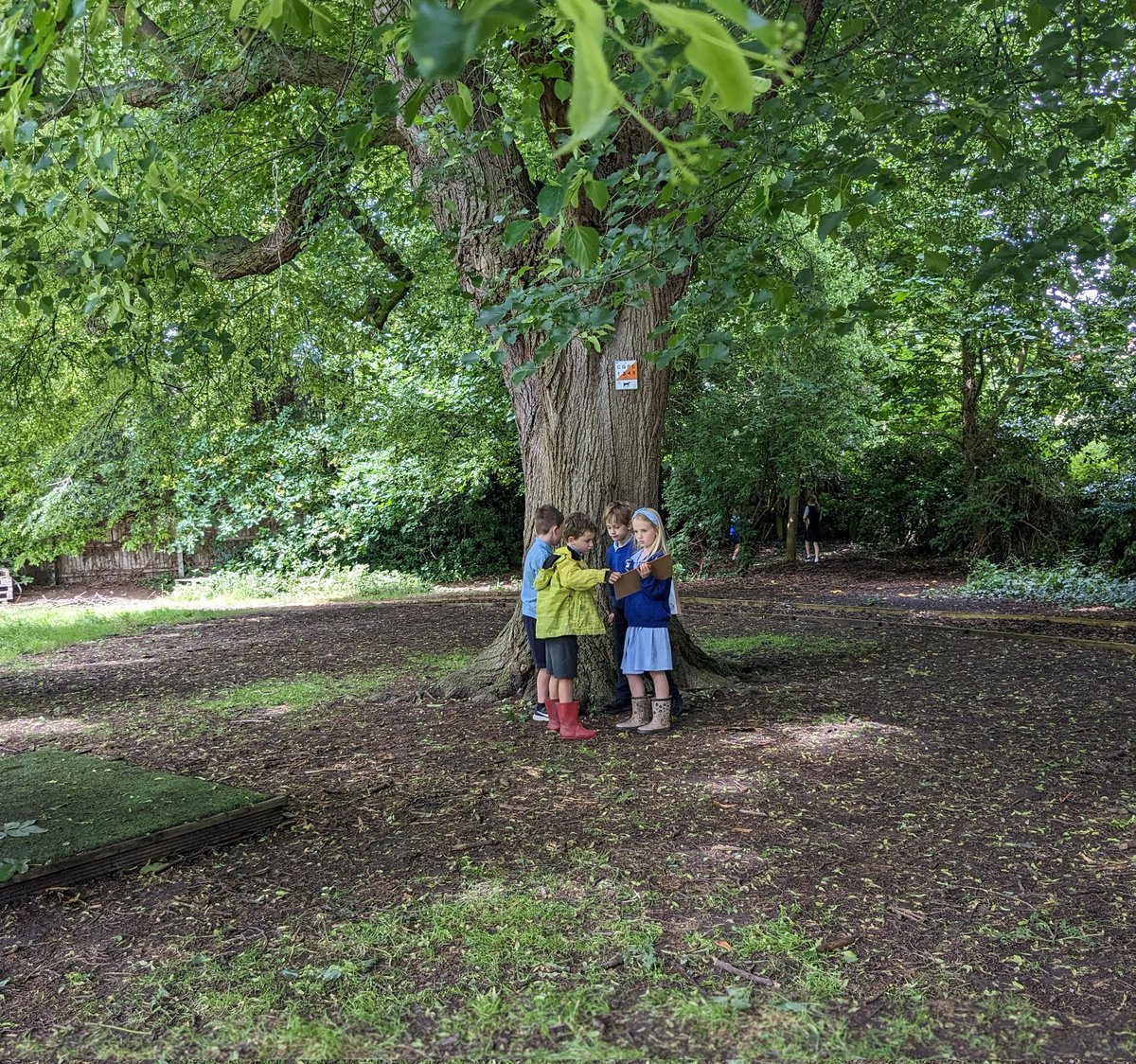 Christletonpri's tweet image. Science and Geography in year 2 today. Finding micro habitats and plotting them on our maps. 
#cpsgeography #cpsscience