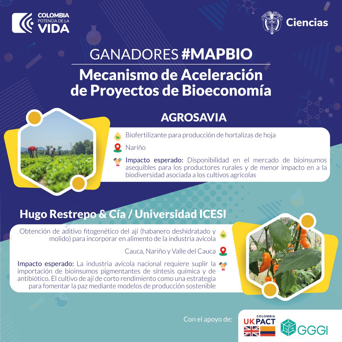 ¡El Mecanismo de Aceleración de Proyectos de Bioeconomía amplía el alcance de su tercera edición!

Felicitamos a los 2 proyectos ganadores de #MAPBIO, que contarán con el apoyo de <a href="/MincienciasCo/">MinCiencias Colombia</a>, <a href="/GGGICol/">GGGIColombia🌱</a> y <a href="/UKinColombia/">Embajada Británica en Colombia</a> en el marco de #UKPACT.
Los seleccionados fueron: