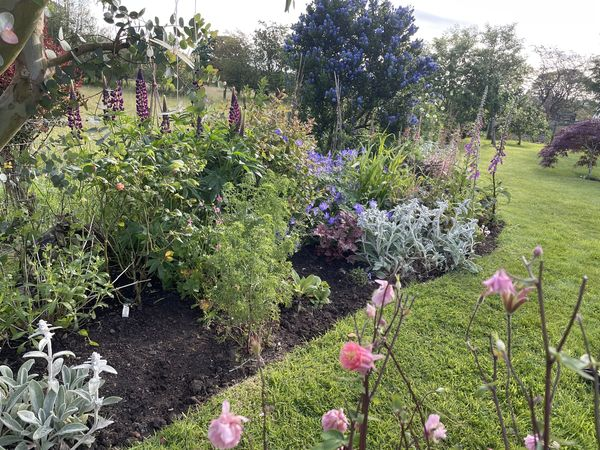 HTrail2019's tweet photo. Well miracles do happen!  The owner of this garden was convinced everything would be blown apart in the wind over the last couple of days, but no, it's looking perfect! And what's more, when she was out at 6 am (gardening of course) she took a moment to watch the barn owl Heaven! https://t.co/PTXrLGdTEI
