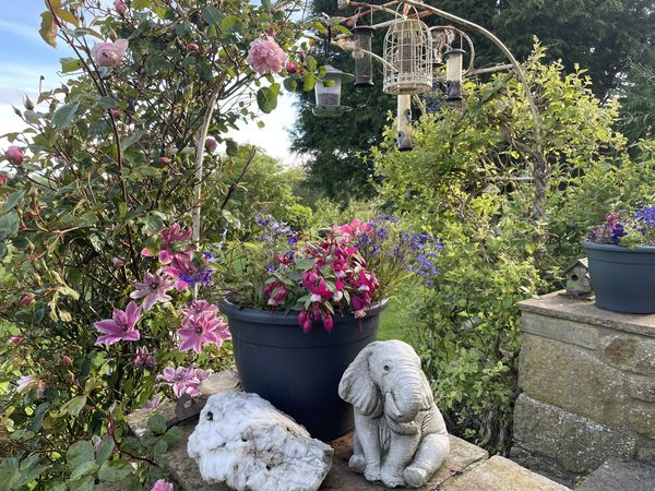 HTrail2019's tweet photo. Well miracles do happen!  The owner of this garden was convinced everything would be blown apart in the wind over the last couple of days, but no, it's looking perfect! And what's more, when she was out at 6 am (gardening of course) she took a moment to watch the barn owl Heaven! https://t.co/PTXrLGdTEI