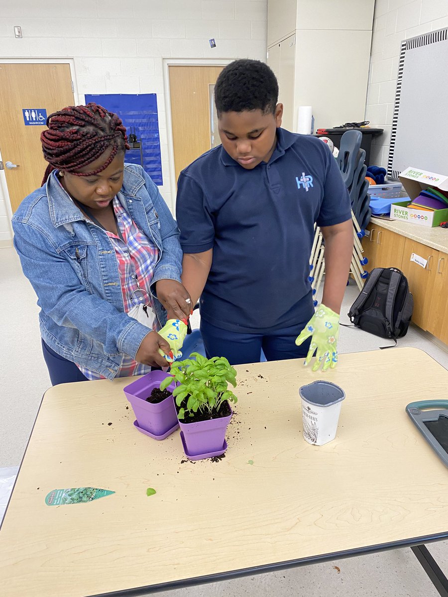Mrs. A. Catalano (@acatalano2013) on Twitter photo 🌱 More #experientiallearning in action!
The STC classes at <a href="/HolyRosary/">Holy Rosary Catholic School Council</a> explored the horticulture pathway by planting their own basil. Thanks for an awesome experience! <a href="/HCDSBPathways/">HCDSB Pathways</a> <a href="/emdelsordo/">Em Del Sordo, OCT</a> 🌱 More #experientiallearning in action!
The STC classes at <a href="/HolyRosary/">Holy Rosary Catholic School Council</a> explored the horticulture pathway by planting their own basil. Thanks for an awesome experience! <a href="/HCDSBPathways/">HCDSB Pathways</a> <a href="/emdelsordo/">Em Del Sordo, OCT</a>