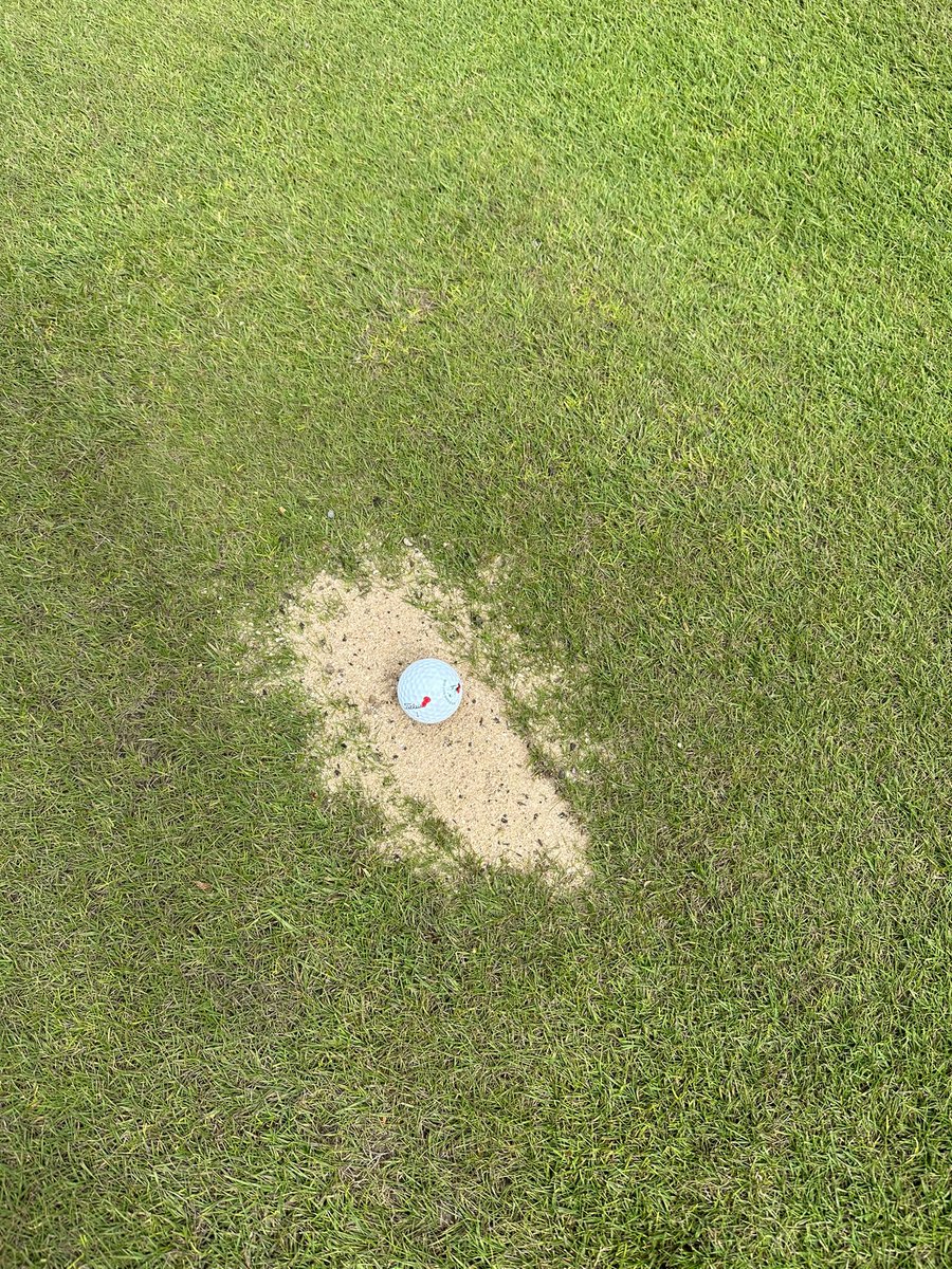 Flushing It tweet media