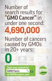 I do not recommend anyone ingest any GMO product whose natural genetic code has been manipulated to introduce a biocidal bacteria gene. 
It is not wise to contaminate our bodies with these types of questionable foods. 
Take care of yourself and avoid GMOs.
greenamerica.org/gmo-inside