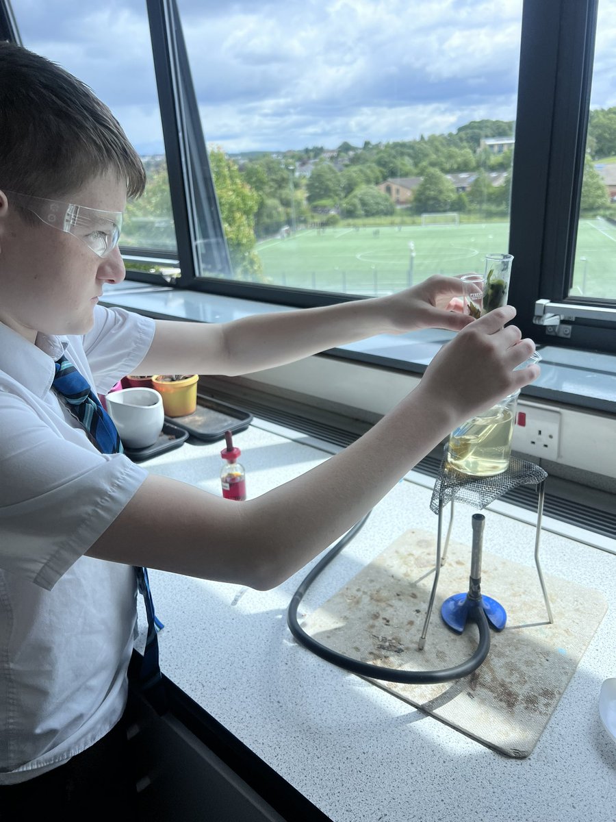 WoodfarmHigh's tweet photo. Steven C in S2 has been working with Mrs Bell to test if the leaves from our playground are carrying out photosynthesis by testing for the leaves he collected for starch. Excellent scientific and practical skills Steven! #WHSScience https://t.co/W77njodRCz