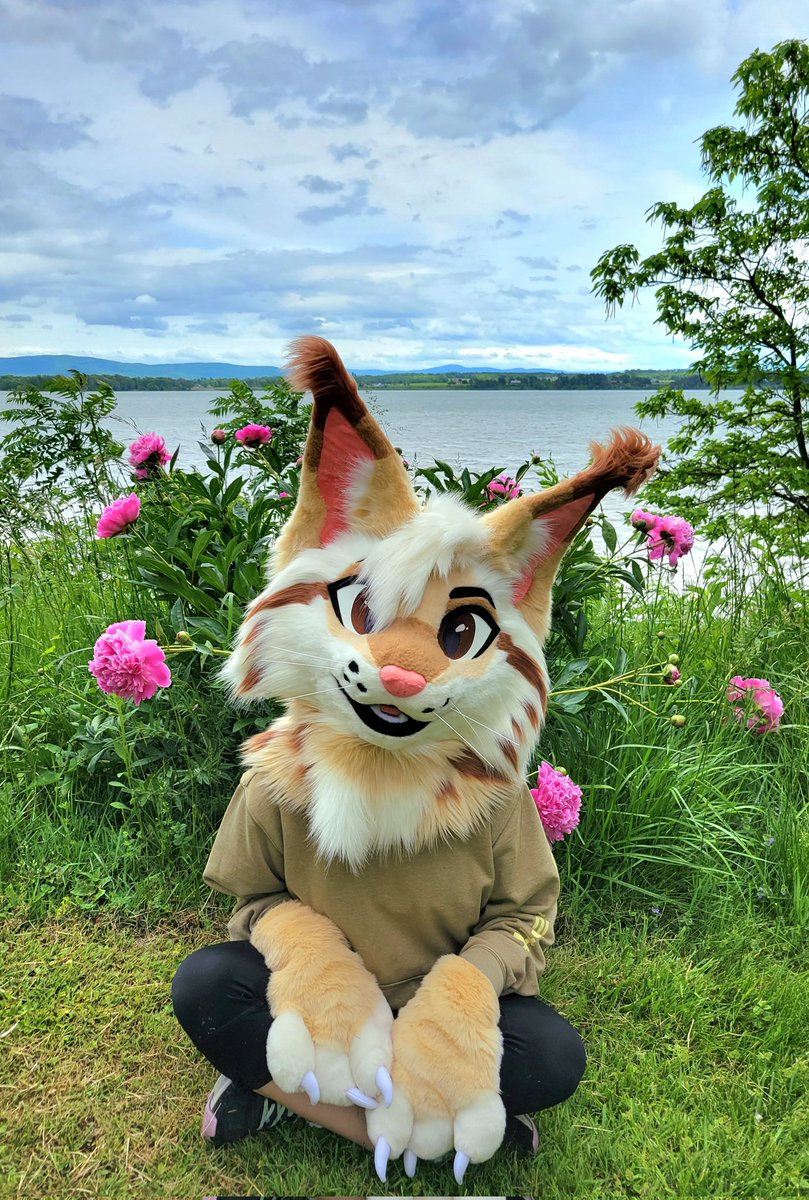 Happy international lynx day!!!!! TUFT GANG RISE UP 🙌🙌🗣️