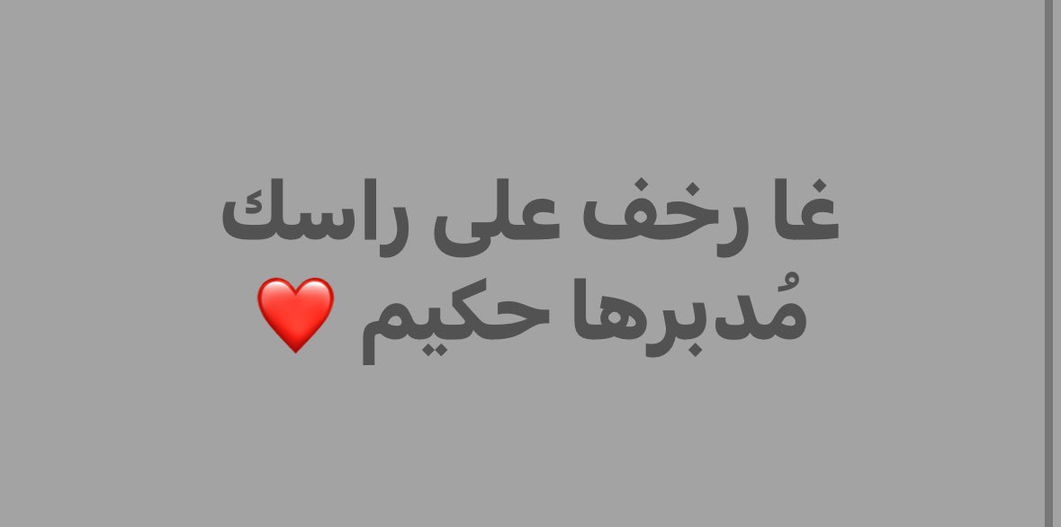 dina tweet media