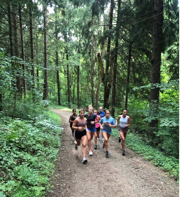 Norwin XC tweet media