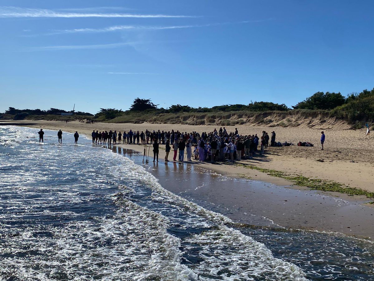 college_pmf_LR's tweet photo. Expérience exceptionnelle vécue par les ecodélegués du @college_pmf_LR invités à relâcher les tortues soignées par l’ @aqualarochelle au large de l’Ile de Ré. Merci aux partenaires de l’événement @OFBiodiversite @UnivLaRochelle #E3D https://t.co/LmRTqKkRzc