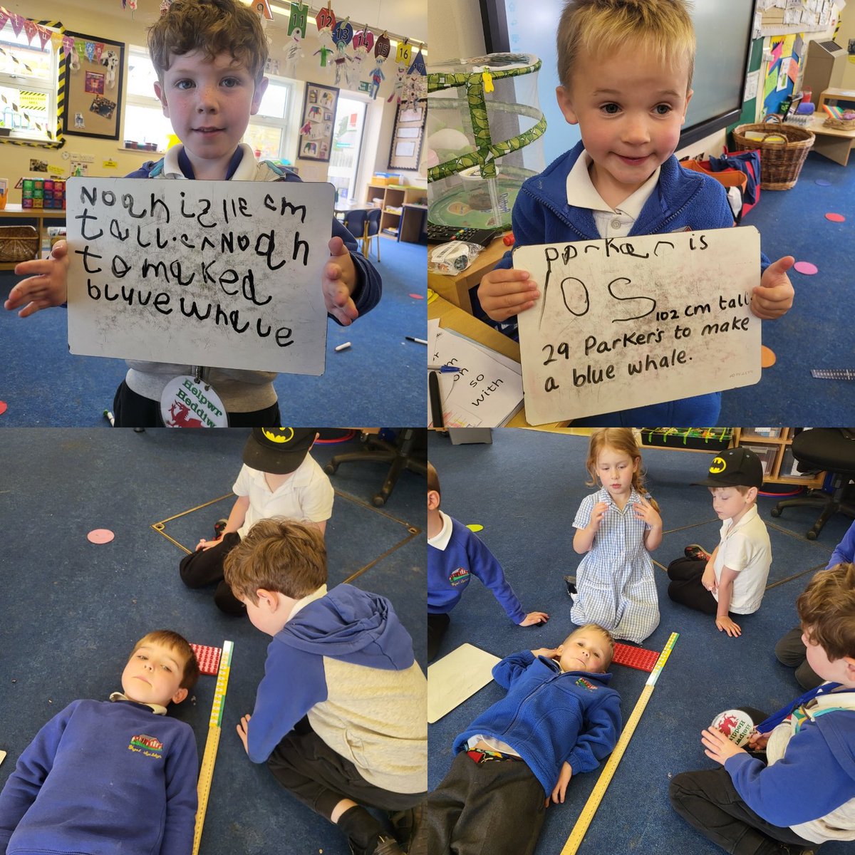 Today, we measured each other &amp; worked out how many of ourselves we'd need to be as long as a blue whale! 🐋 
<a href="/SychdynSchool/">Ysgol Sychdyn</a>