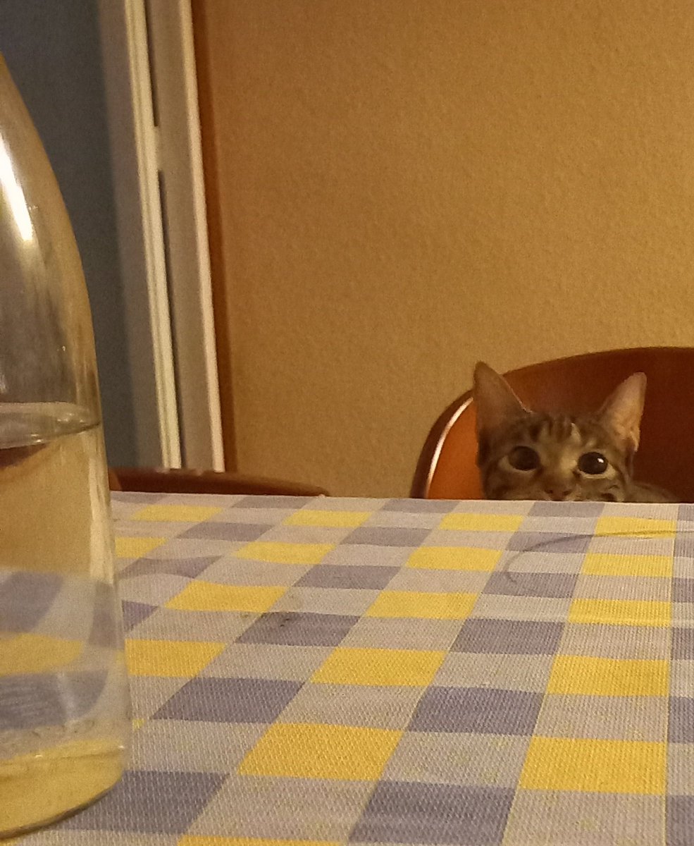 Asheladjj's tweet photo. My daugther wants to talk to me, I'm scared https://t.co/2dyWtezWIJ