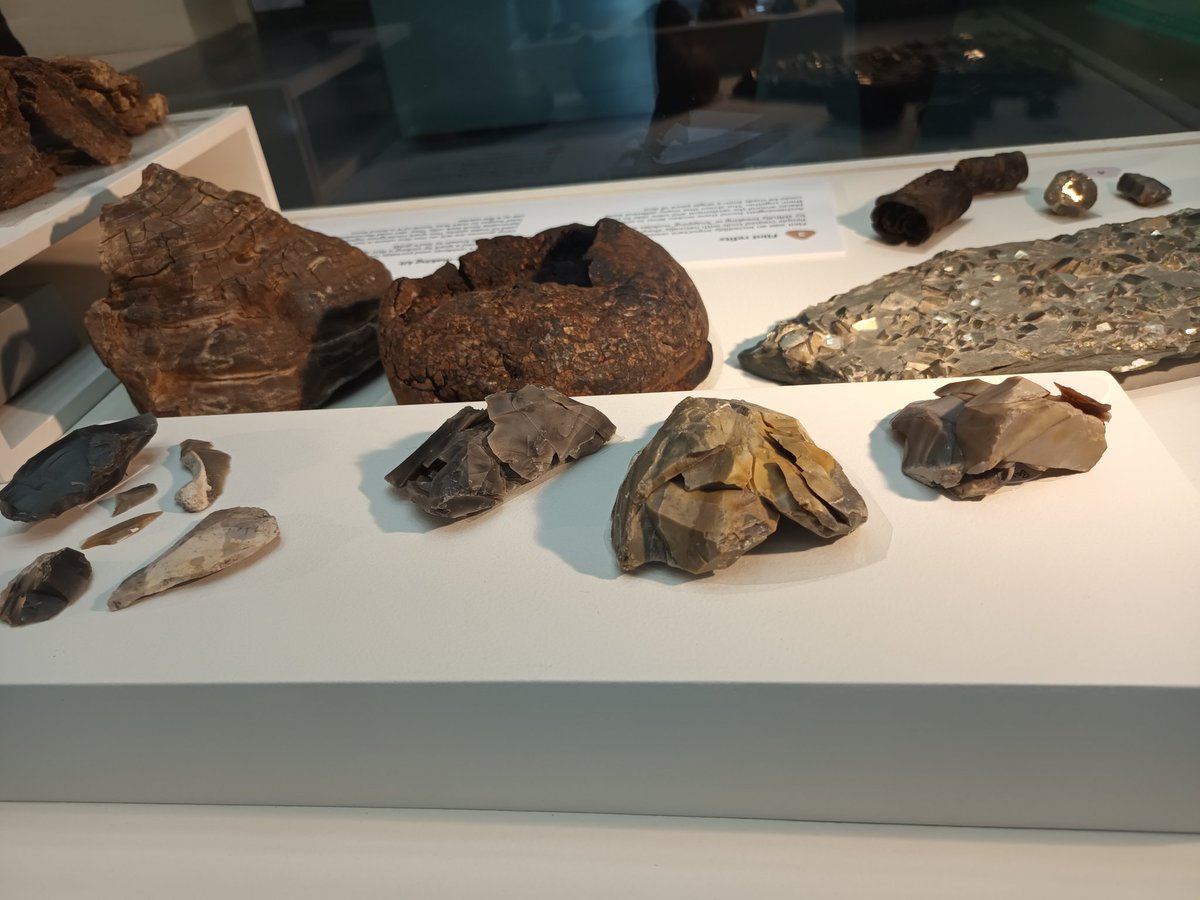 Frances McIntosh tweet media