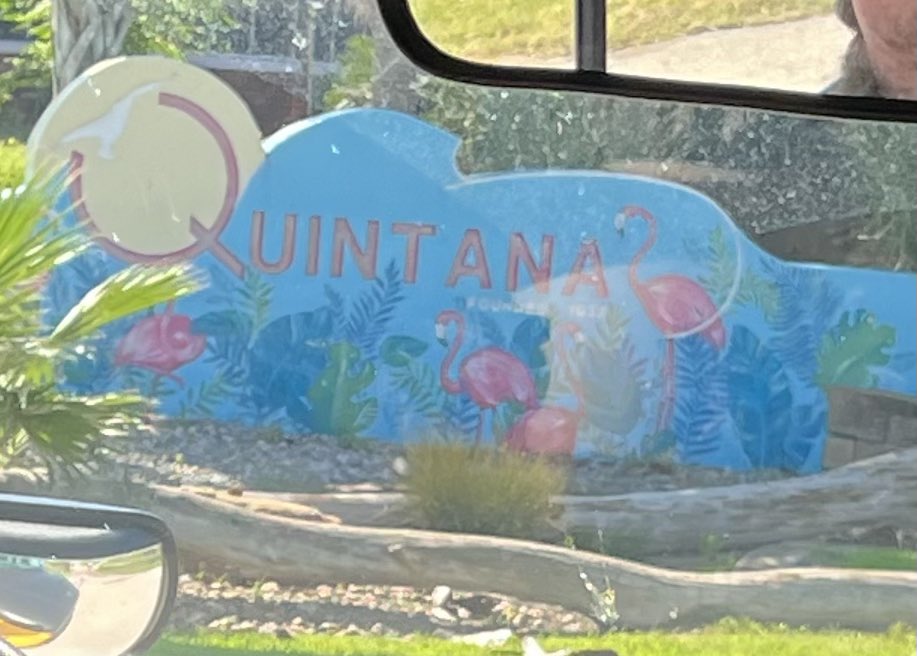 Lamar CISD Multilingual Education tweet media