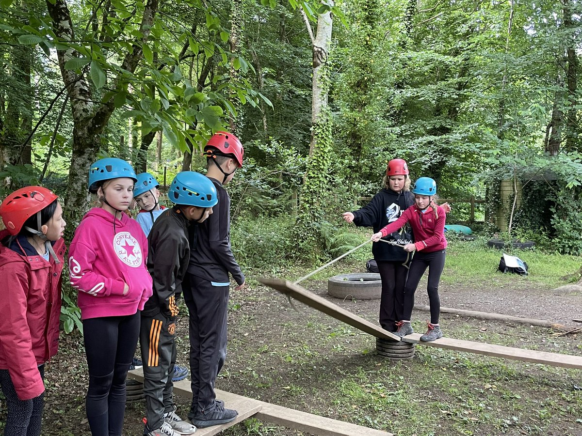 PHS Y6 Transition tweet media