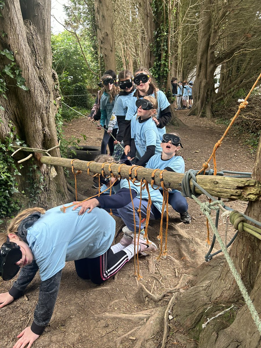 PHS Y6 Transition tweet media