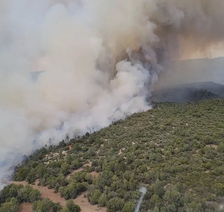 HotshotWake's tweet image. Arizona: The Bear Fire grew 30 acres yesterday after a slop over the retardant line. 
#bearfire #wildfire #azfire 
3 new starts have been identified within 1 miles of this Fire’s main edge, interestingly. These starts are now the Black Fire and will also be managed by the Team on