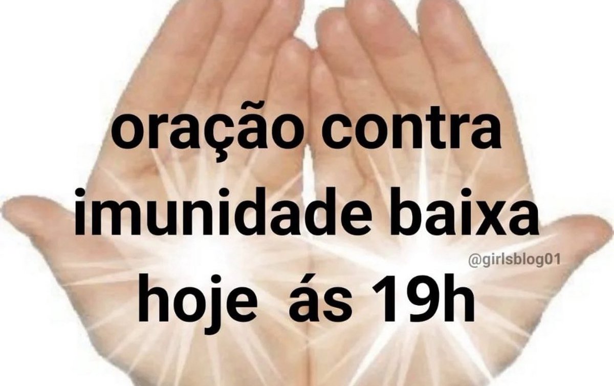 shitpostverdade's tweet photo. https://t.co/FgtxCurWvc