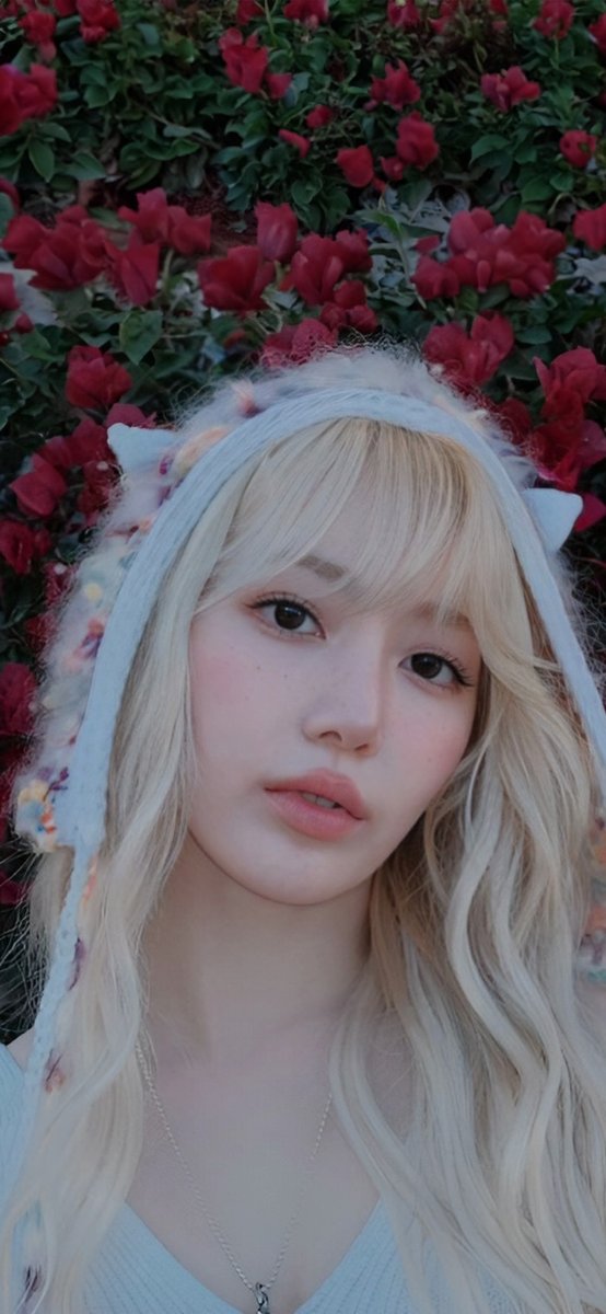 jjinchae tweet picture