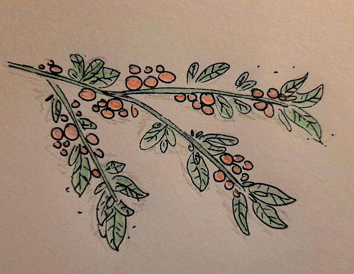 BluToroo's tweet photo. Art ♡ https://t.co/KKpU2yR1Pp
