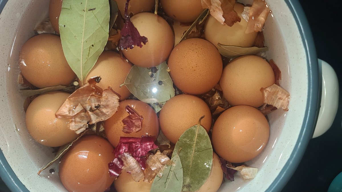 vanjavucko's tweet photo. Koo lud nadje sebi posao po ovoj vrucini
#lovor #biber #lukovina
#pickledeggs 🥚🥚🥚 https://t.co/1HkvfI2Mip