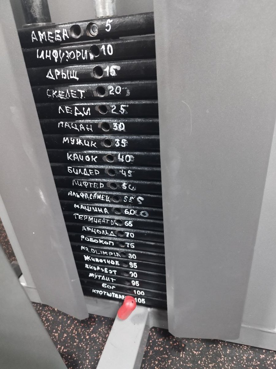 Мне кажется, что кто-то в нашем зале хочет со мной познакомиться, но стесняется подойти...