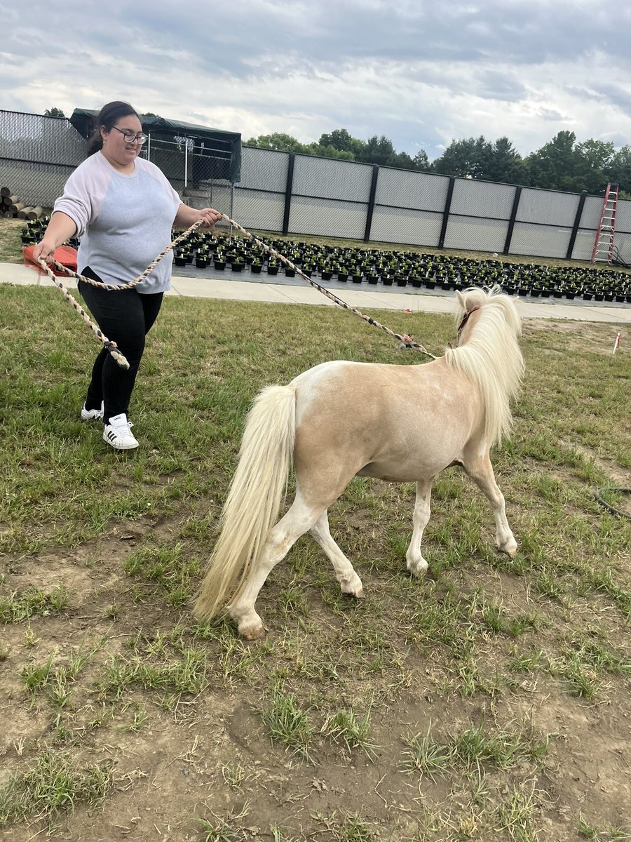 Karissa Kester tweet media