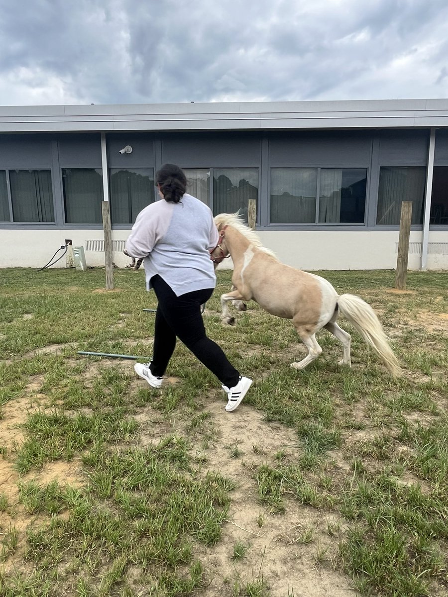 Karissa Kester tweet media