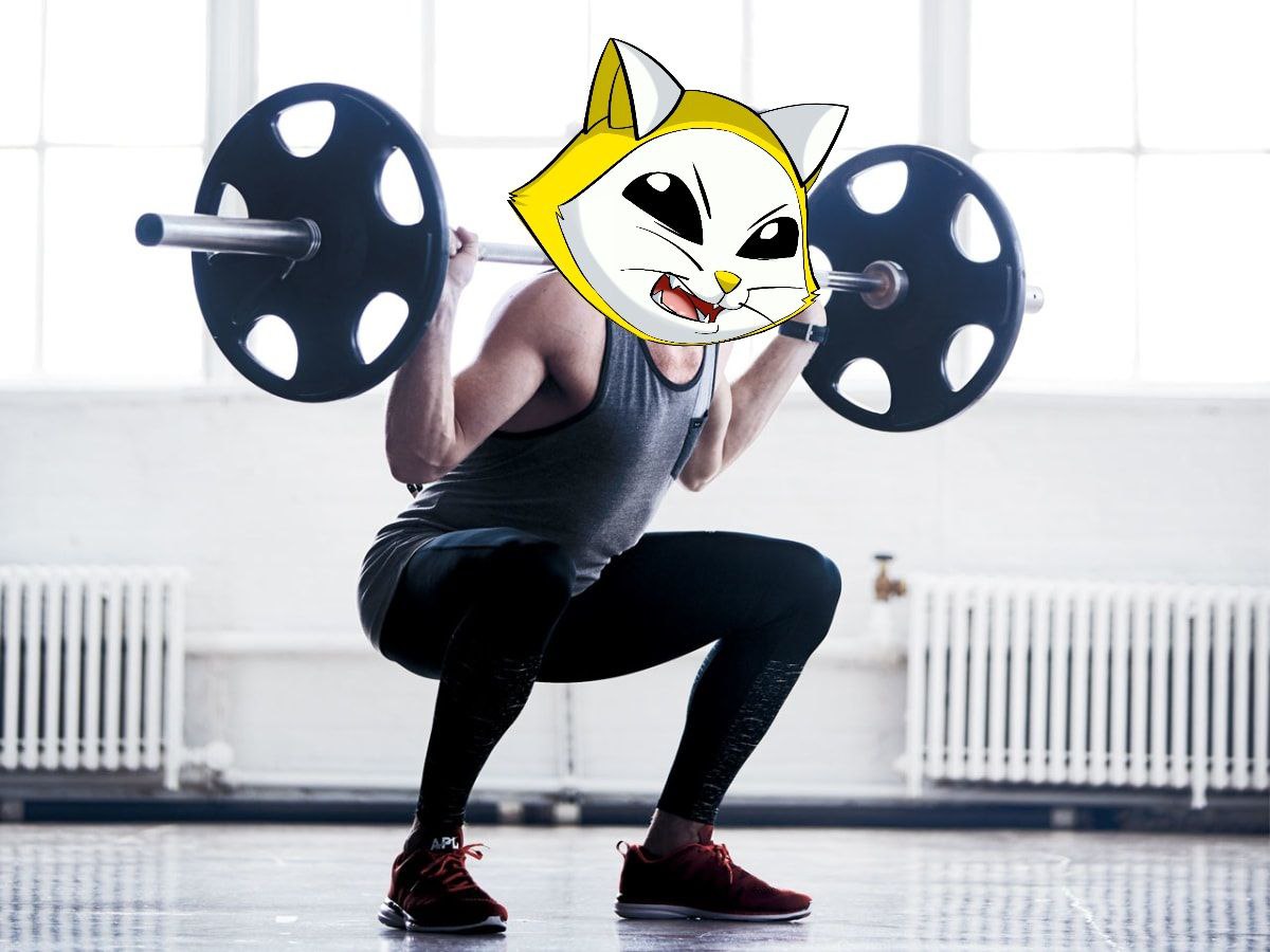 Snapcats Gaming tweet media