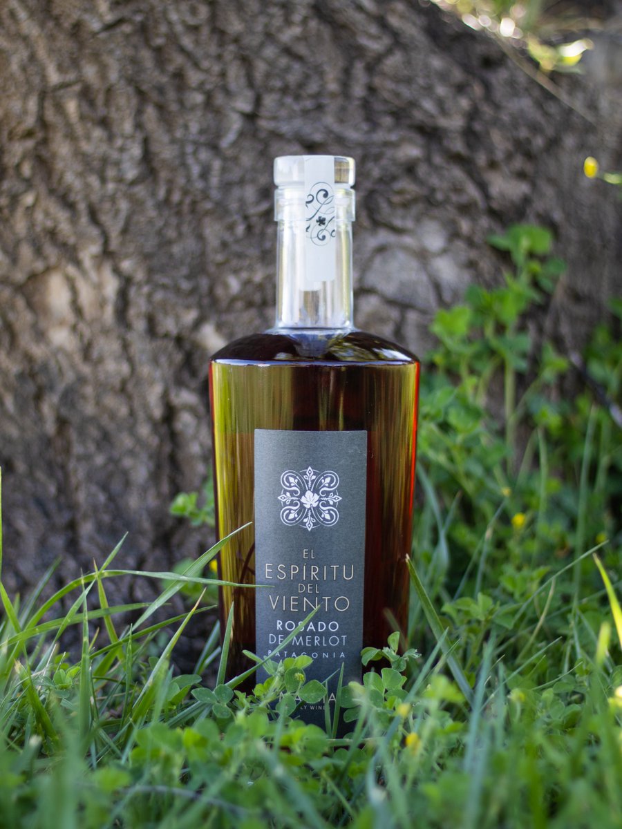 Celebramos el Día internacional del vino Rosado con El espíritu del viento Rosé de Merlot.

Rosado de Alta Gama 100% patagónico, 100% nuestro.

#RoséDay #MalmaWines #Patagonia
