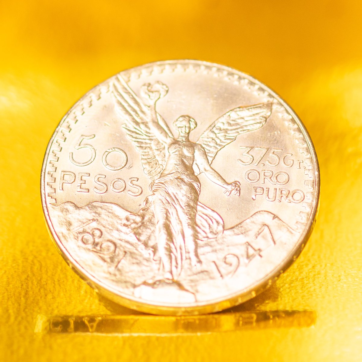 PrecioOroMX's tweet photo. Compramos tus centenarios de oro al mejor precio. 🏆 Contáctanos! 📲 55-3970-8424 https://t.co/NcPGrq7tBP