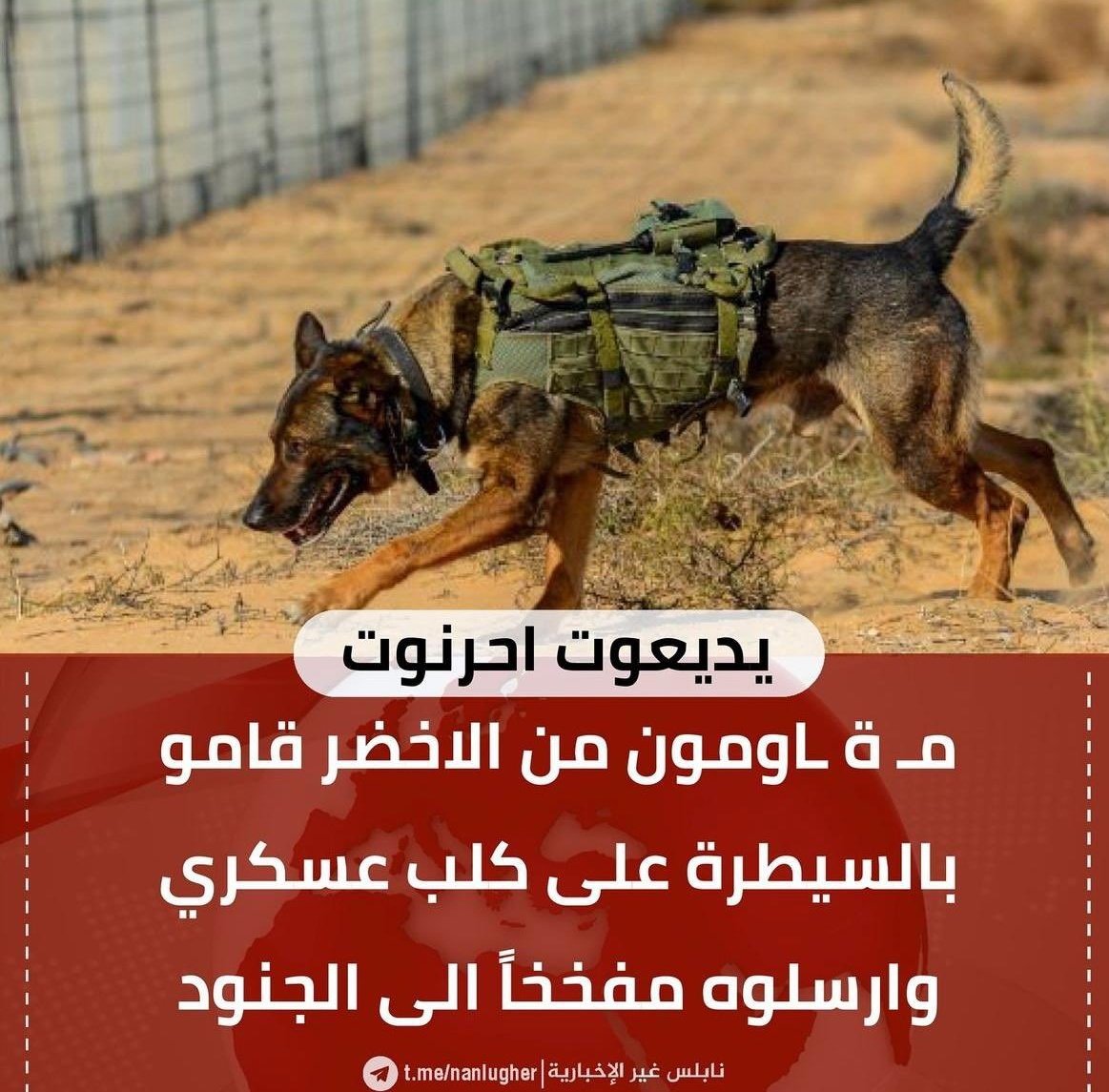 ألقسام  ألأبطال