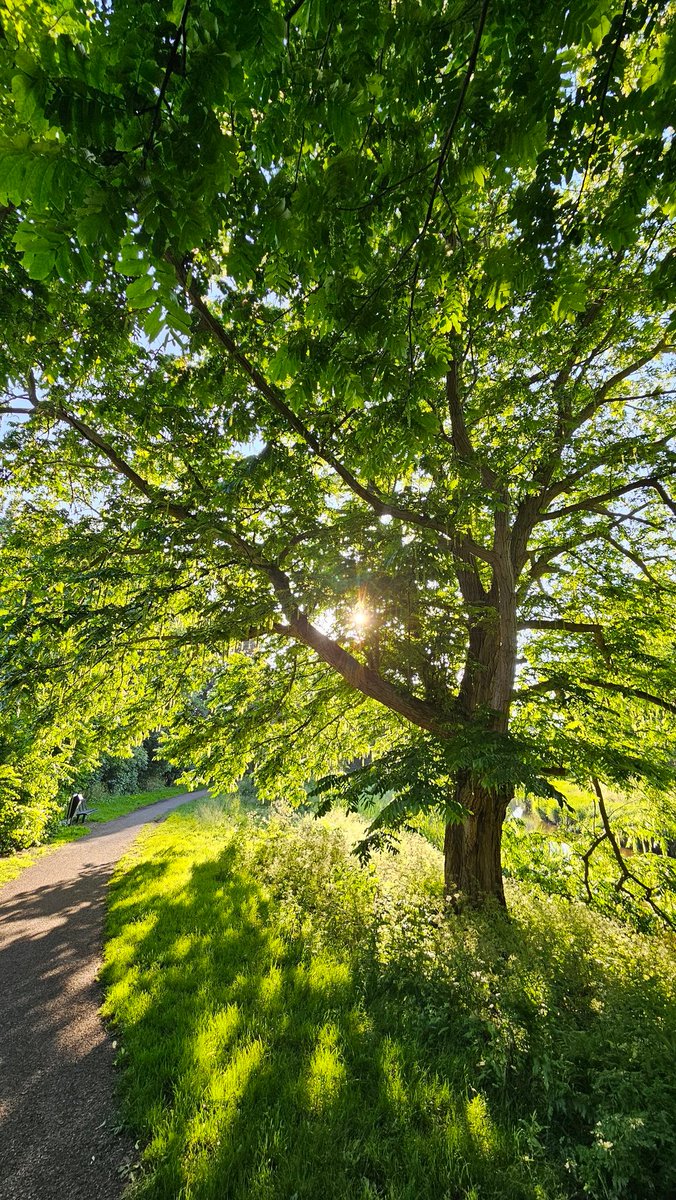 juudnoasuze's tweet photo. #lovezeeland #bolwerk #zon #kalmte #middelburg #fotografie #hsp https://t.co/CQP5iv6ssK