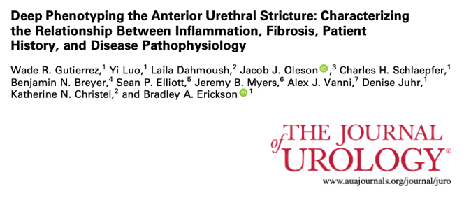 University of Iowa Urology tweet media