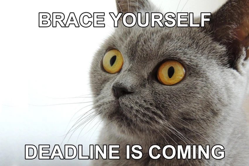 Upcoming abstract deadline!!

JULY 1 

#prism2025 #sportsmed #meded #deadline #sports #pediatrics