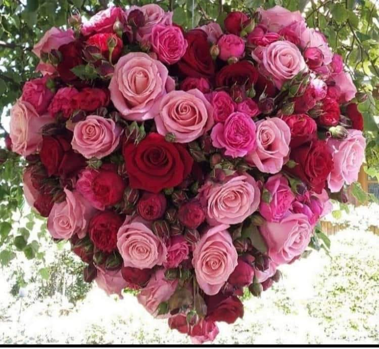 ElijahM_07's tweet photo. @MarHayleyA04 https://t.co/qpCqvC7dIi