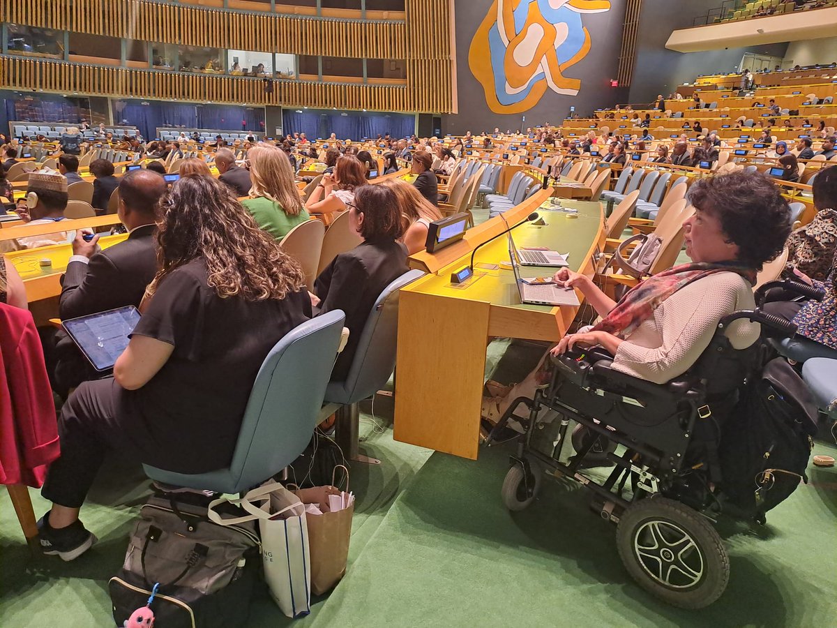 Vice President <a href="/MyEDF/">European Disability Forum</a> highlights EDF priorities towards the UN- inclusive accessible Global Digital Compact, Summit for the Future, inclusive UN action in humanitarian emergencies and more robust government action for inclusive employment